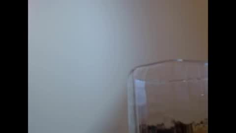 TaTis online show from May 29, 2026, 2:04 pm