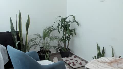 tatty online show from September 21, 2025, 7:59 pm