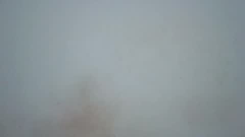 wet_pussieyy online show from February 17, 2026, 9:21 pm