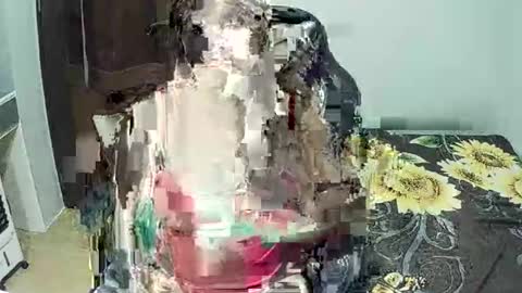 Lyns online show from February 15, 2026, 2:36 pm