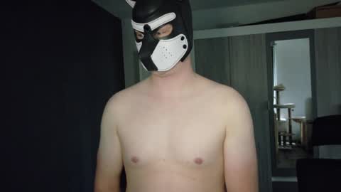 white_pup online show from May 4, 2026, 4:58 pm