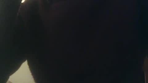 Whiteduke online show from January 3, 2025, 12:33 am