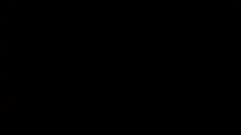 whitehead_lion online show from February 14, 2025, 7:02 pm