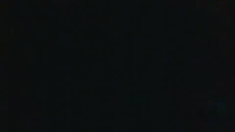 whitehead_lion online show from September 17, 2025, 5:25 pm