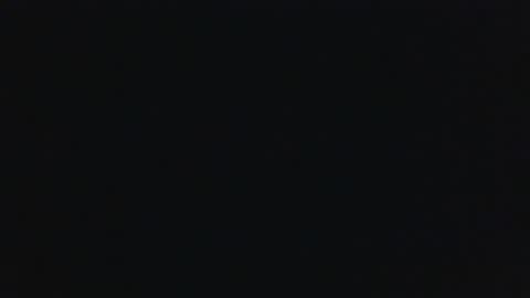 whitehead_lion online show from September 18, 2025, 7:21 am