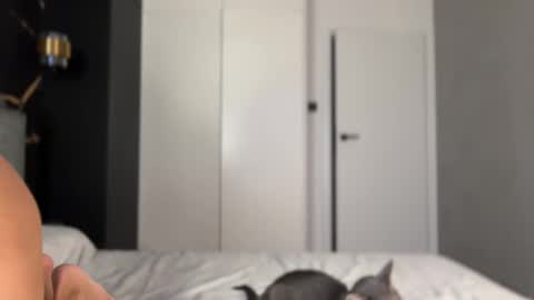 Alice online show from October 2, 2025, 4:14 pm