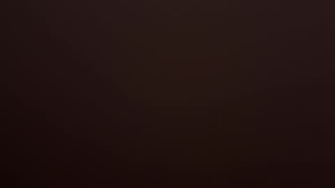 VI online show from February 14, 2026, 10:23 am