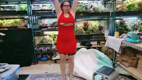 WifeNheels online show from April 26, 2026, 10:07 pm