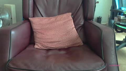wilbert online show from June 16, 2026, 7:44 am
