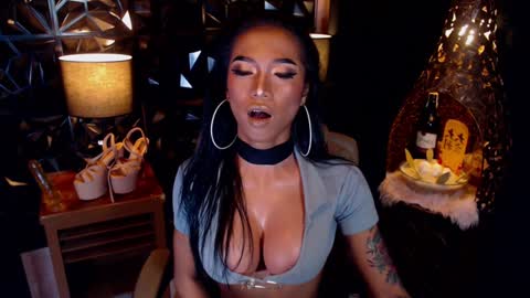 wildara online show from January 17, 2025, 10:33 am