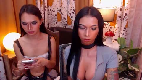 wildara online show from February 3, 2025, 2:03 am