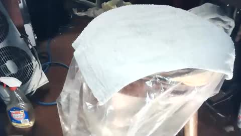 wildman6 online show from March 7, 2026, 8:17 pm