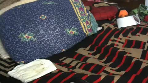 Willamyth online show from February 9, 2025, 9:58 am