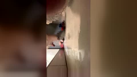 williamcody653 online show from February 15, 2026, 6:21 am