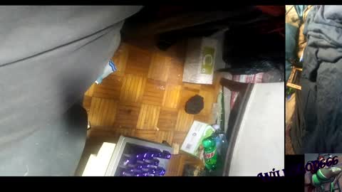 willisgod666 online show from December 10, 2024, 5:28 am