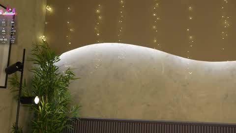 Ms Willow online show from January 14, 2026, 11:49 am