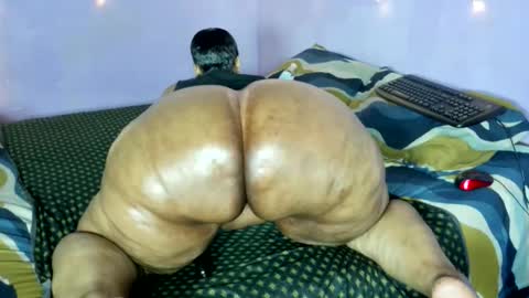 wilmaassylum online show from November 21, 2025, 7:18 am