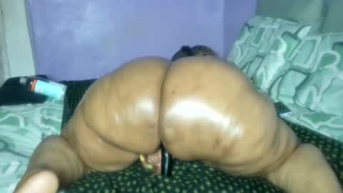 wilmaassylum online show from February 26, 2026, 6:34 am