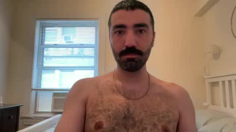 wolcott2026 online show from June 14, 2026, 12:41 am