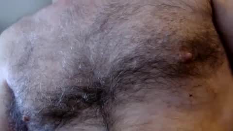 Snapshot of woodiesays chatting on February 4, 2025, 5:34 pm WoodieSays online show from February 4, 2025, 5:34 pm