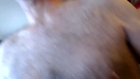 Snapshot of woodiesays chatting on January 17, 2026, 4:33 pm WoodieSays online show from January 17, 2026, 4:33 pm