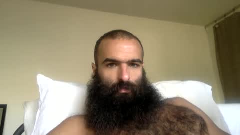 woof_wolf37 online show from April 7, 2026, 3:45 pm