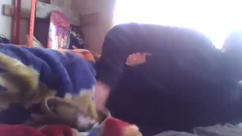 Snapshot of wormaho84 chatting on January 7, 2025, 2:41 pm wormaho84 online show from January 7, 2025, 2:41 pm