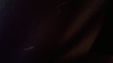 wrangleat0r online show from February 12, 2026, 2:50 am