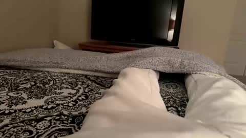 Wsteel66 online show from February 24, 2026, 3:48 am