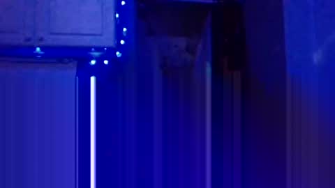 Snapshot of wundrsword33 chatting on January 5, 2025, 7:28 pm BONER DONOR online show from January 5, 2025, 7:28 pm