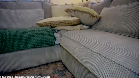 Lily online show from March 4, 2026, 4:46 pm