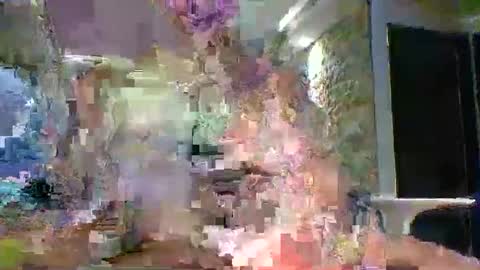 xavii31 online show from March 11, 2026, 1:44 am