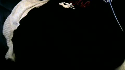 Toke online show from December 12, 2024, 6:57 am