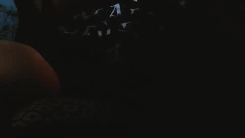 Snapshot of xhorndog55x chatting on November 11, 2025, 1:38 am xhorndog55x online show from November 11, 2025, 1:38 am