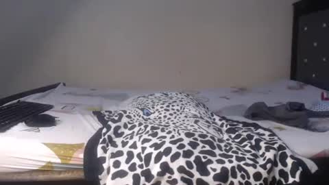 Xoe online show from February 18, 2026, 5:25 am