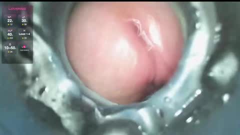 Snapshot of xoxowtf chatting on December 9, 2024, 3:54 pm xoxowtf online show from December 9, 2024, 3:54 pm