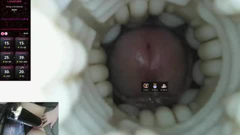 xoxowtf online show from March 9, 2026, 9:52 pm