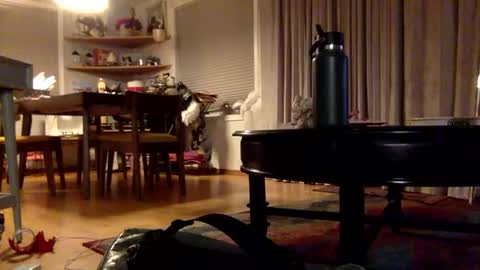 yayalala online show from December 2, 2024, 3:37 am