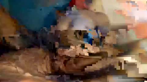 xxxdarknagician81 online show from September 21, 2025, 3:13 pm