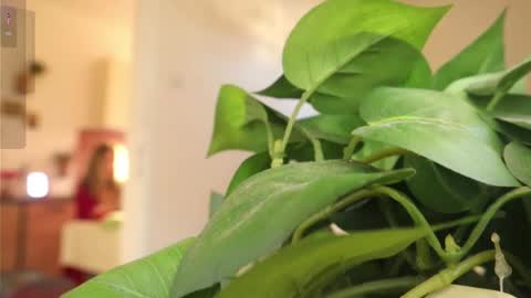 Xxxoka online show from March 6, 2025, 2:08 pm