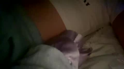 Snapshot of xxxsophiaday chatting on October 4, 2025, 8:56 am xxxsophiaday online show from October 4, 2025, 8:56 am