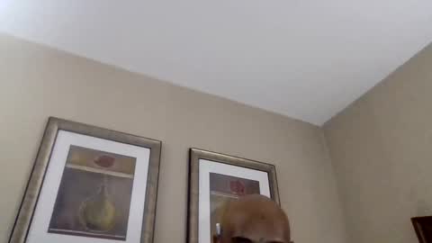 YallFav0rit3couple online show from April 8, 2026, 4:45 am