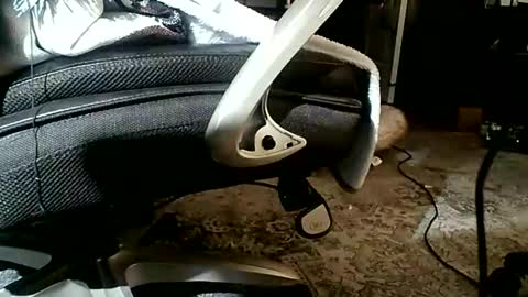 yamagrow online show from April 19, 2026, 1:10 pm