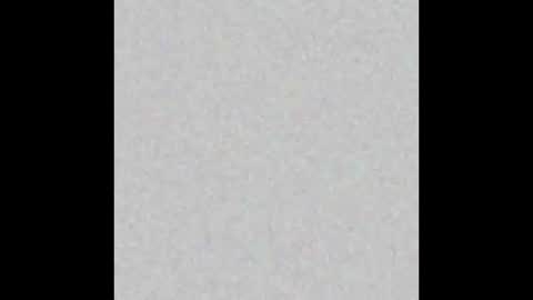 .     y e l l o w s n a k e s       . online show from March 4, 2026, 11:38 am