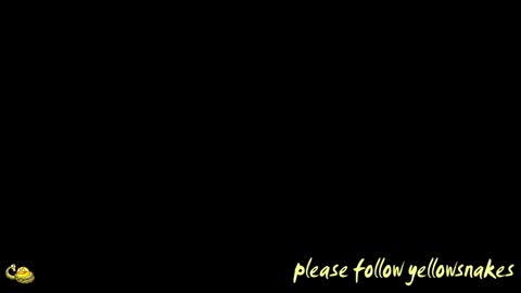 .     y e l l o w s n a k e s       . online show from March 19, 2026, 10:36 pm