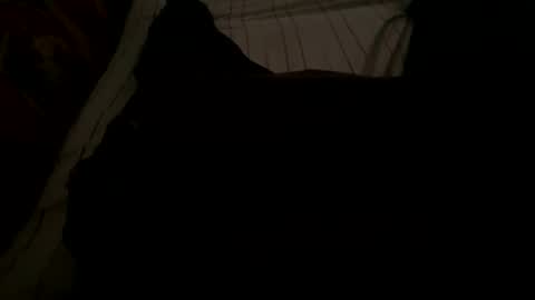 Giannis online show from November 18, 2025, 5:23 am