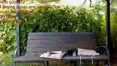 private on 18 per minute start private 500 tokensOnlyfans  online show from July 5, 2026, 10:22 am