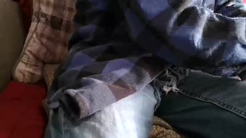 kindahorny online show from April 7, 2026, 8:09 pm