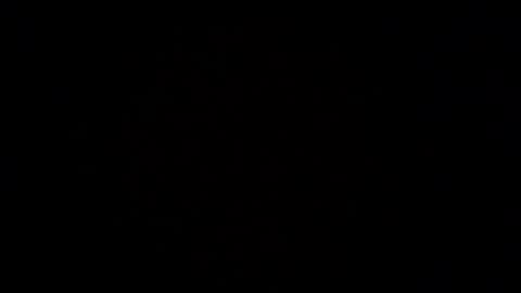 Scent online show from February 17, 2026, 8:33 am