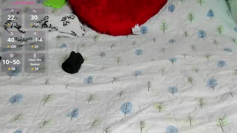 mia3 online show from February 23, 2025, 4:39 am